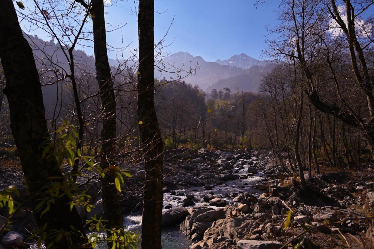 Хостел Zostel Dobhi, Manali Nagar  Экстерьер фото