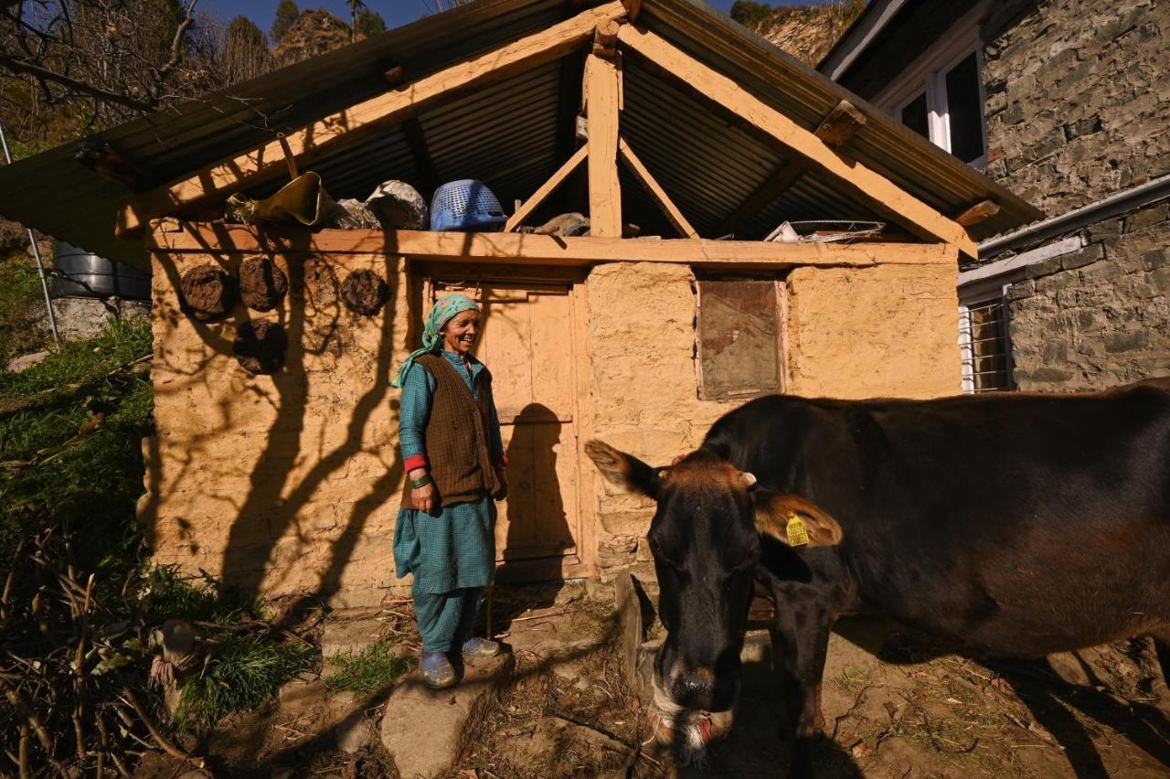 Хостел Zostel Dobhi, Manali Nagar  Экстерьер фото