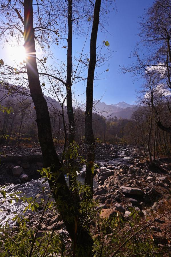 Хостел Zostel Dobhi, Manali Nagar  Экстерьер фото