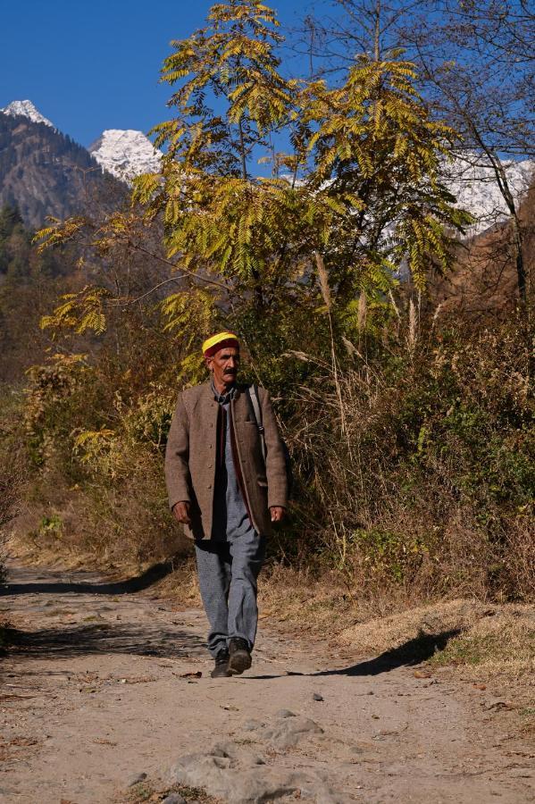 Хостел Zostel Dobhi, Manali Nagar  Экстерьер фото